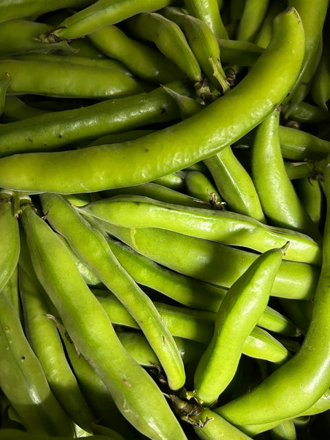 Organic Broad Beans - Australian