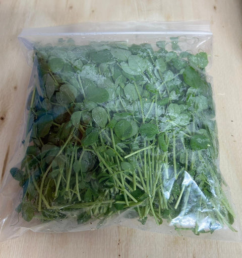 Organic Green Pea Shoots - Australia