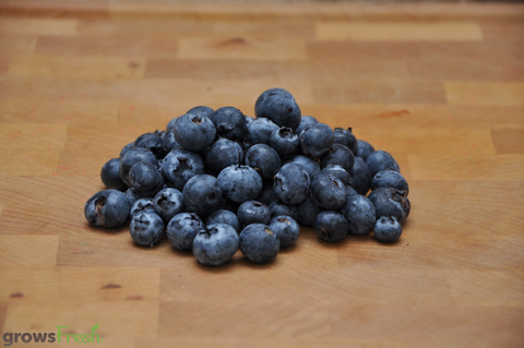 Organic Blueberries - Australian