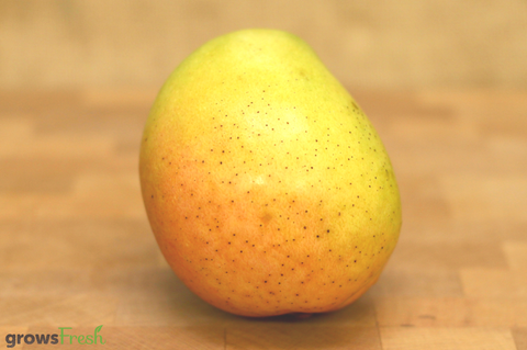 Organic Mango - Australian