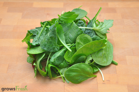 Organic Super Greens - Australian