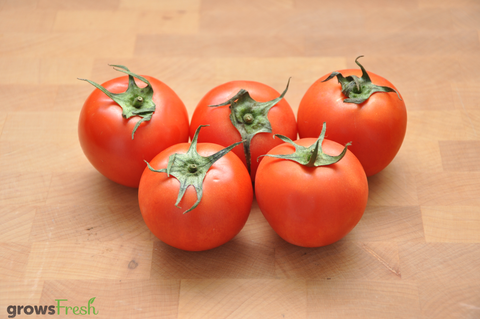 Organic Tomatoes - Round - Australian
