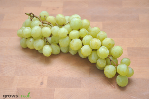 Organic Grapes - White - Seedless - Australian