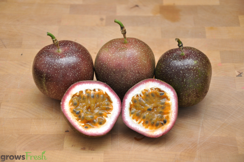 Organic Passionfruit  - Australian