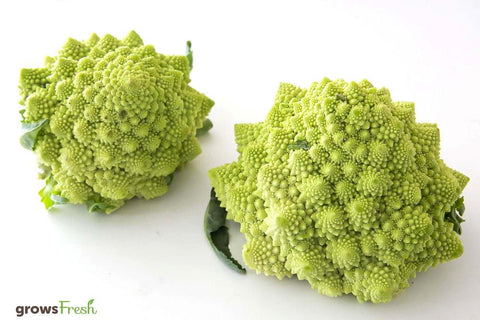 Organic Cauliflower - Romanesco - Whole - Australian