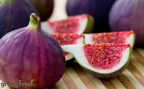 Organic Figs - Australian