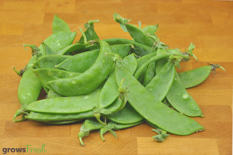 Organic Snow Peas - Australian