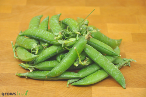 Organic Sugar Snap Peas - Australian