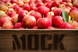 Organic Apples - Juicing - Australian