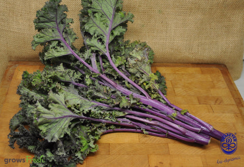 Organic Kale - Red (Tuscan) -  Fresh - Australian