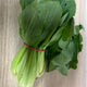 有機白菜 - 澳大利亞