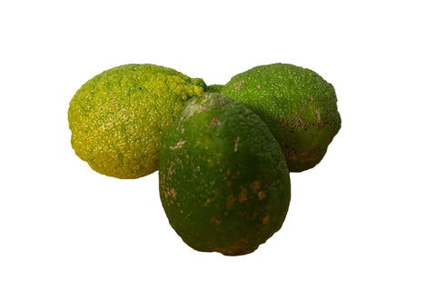 Organic Bush Lemons - Australian