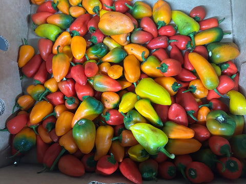 Organic Capsicums/ Bell Peppers  - (as pictured) Mini Snacking Size - Australian (On Sale)