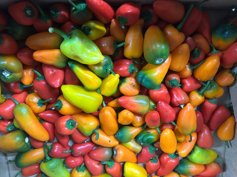 Organic Capsicums/ Bell Peppers  - (as pictured) Mini Snacking Size - Australian (On Sale)
