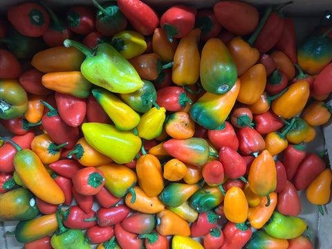 Organic Capsicums/ Bell Peppers  - (as pictured) Mini Snacking Size - Australian (On Sale)