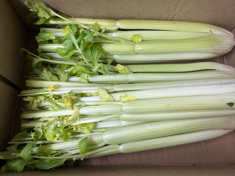 Organic Celery (As Pictured) - Australian (On Sale)