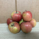 Organic Apples - Red - Fuji - Australian