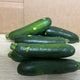Organic Zucchini -2nd Grade - Australian