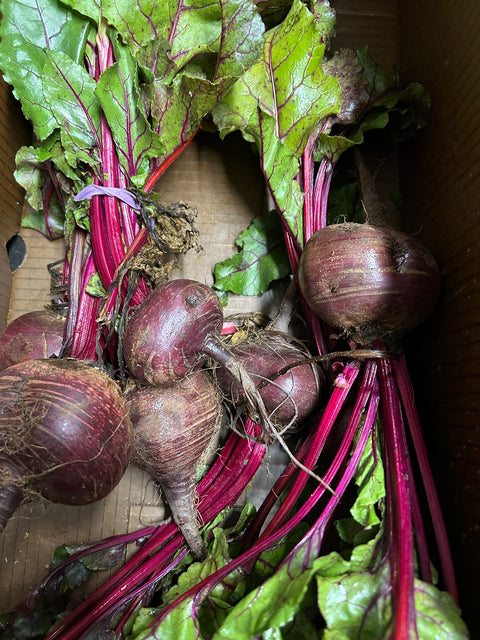 Organic Beetroot - Australian