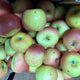 Organic Apples - Juicing - Australian