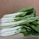 有機白菜 - 澳洲