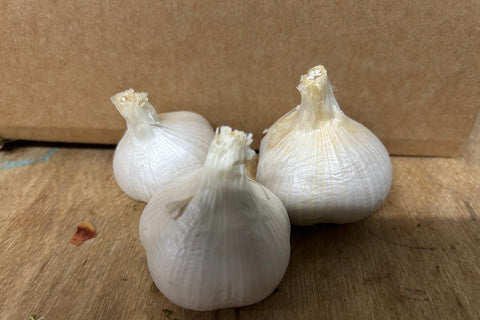 Organic Russian Garlic - Australian