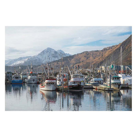 Copper River - Wild Alaska - Sockeye Salmon - Portions - Frozen - Alaska USA