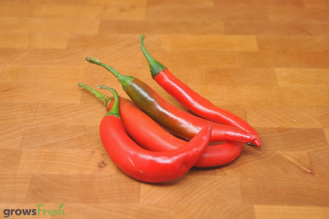 Organic Red Chillies  Australian