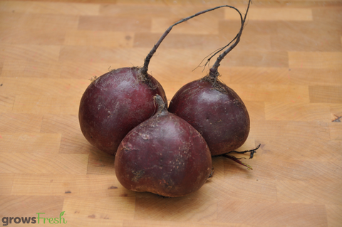 Organic Beetroot - Australian