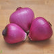 Organic Red Onion - Australian