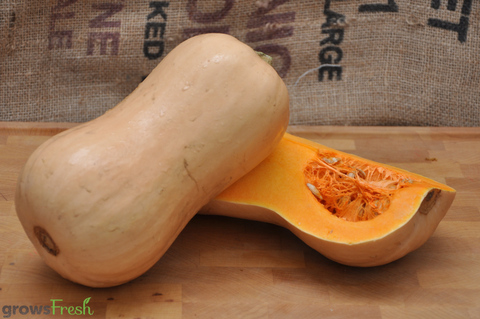 Organic Butternut Pumpkin (Squash) - Whole - Australian