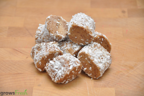 Organic Date & Coconut Rolls - USA