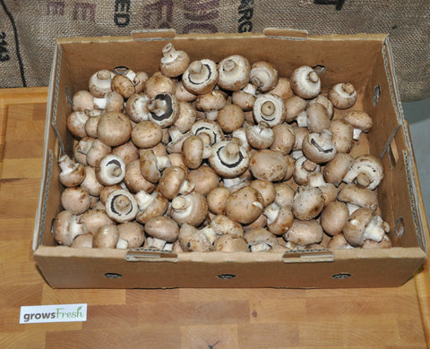 Organic Mushrooms - Swiss Brown - Australian