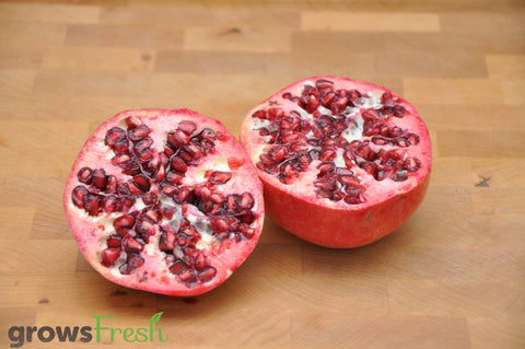 Organic Pomegranate - Australian