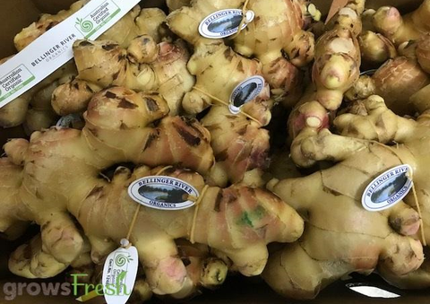 Organic Ginger - Australian