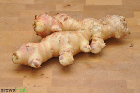 Organic Ginger - Australian