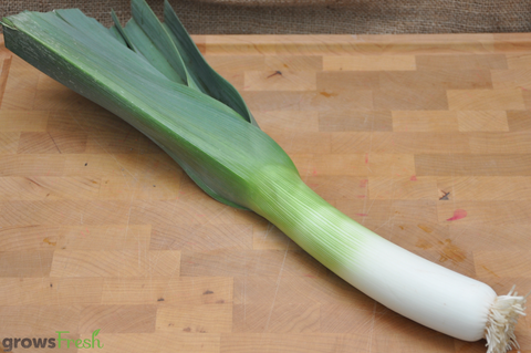 Organic Leeks - Whole Stem - Australian