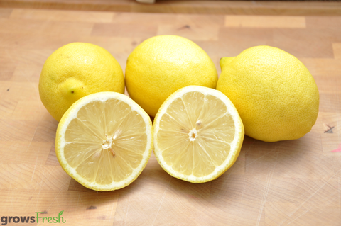Organic Lemons - Australian