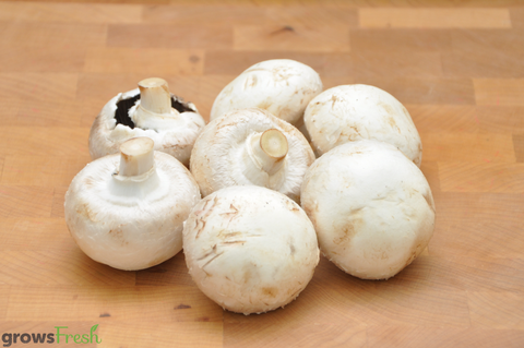 有機蘑菇 - 大號扁平 - 澳大利亞
