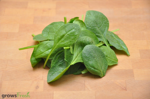 Organic Baby Spinach - Australian
