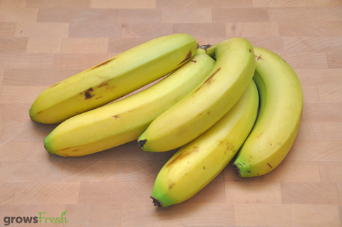 Organic Bananas - Australian