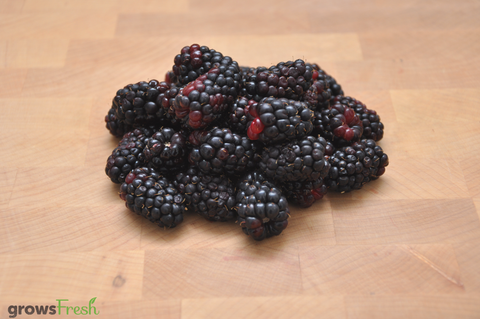 Organic Blackberries - Australian