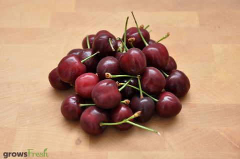 Organic Cherries - Australian