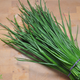 Organic Herbs - Chives - Fresh - Australian