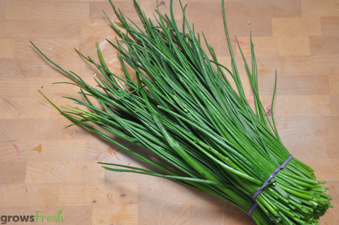 Organic Herbs - Chives - Fresh - Australian