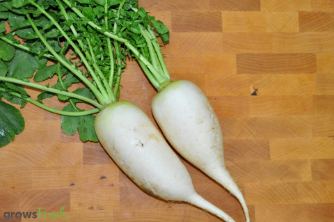 Organic Radish - Daikon - Whole - Australian