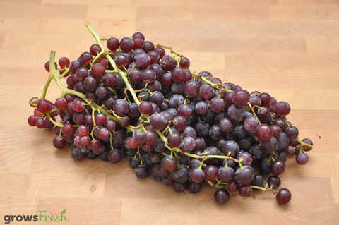 Organic Grapes - Red - Seedless  - Australian