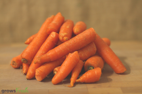 Organic Carrots - Juicing - Australian
