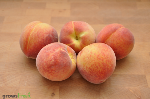 Organic Peaches - Yellow Flesh - Australian