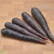 Organic Carrots - Purple - Australian